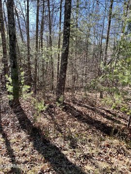 Crossville, TN Wooded Lot