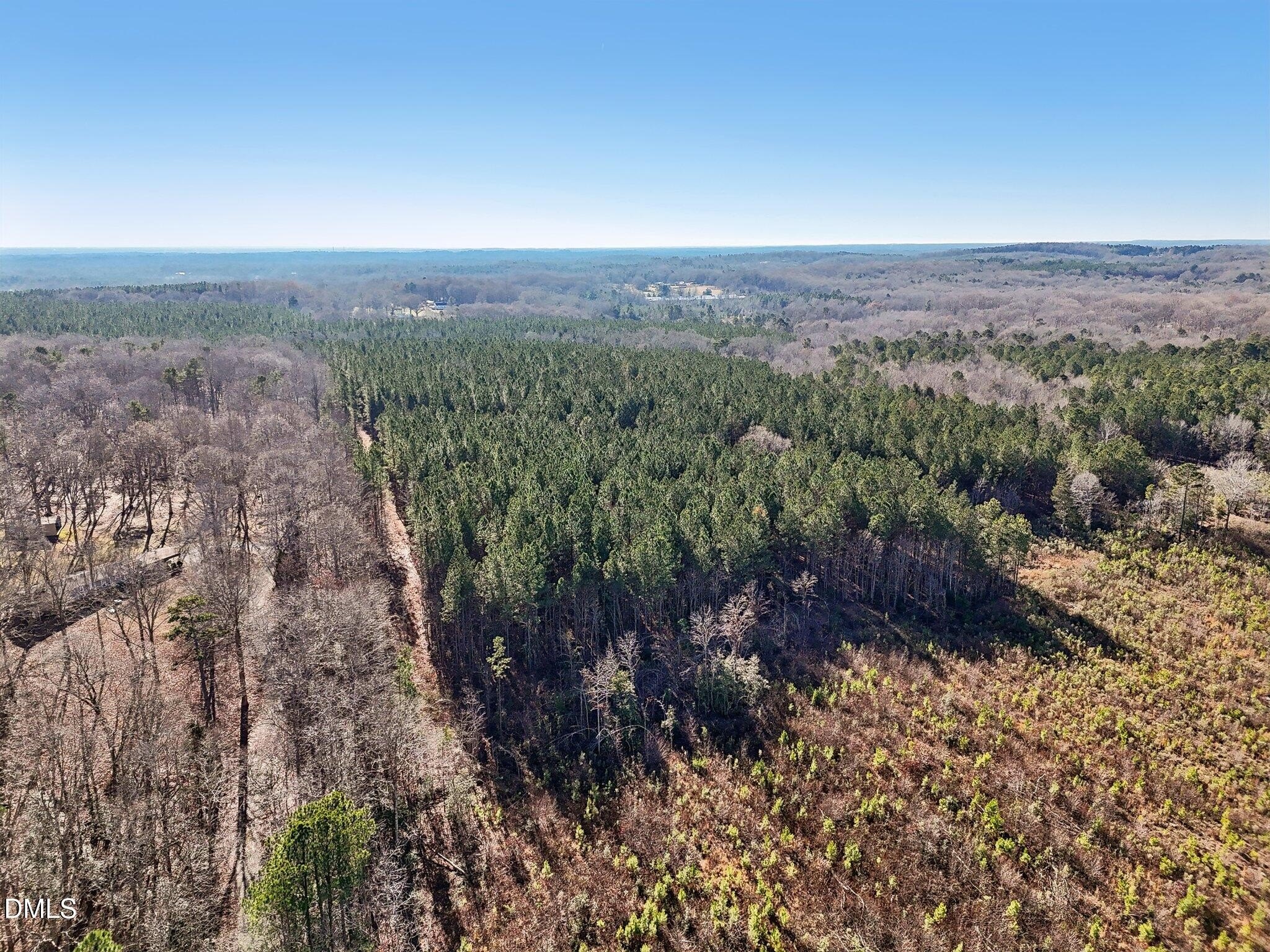 23 Acres of Wooded Land