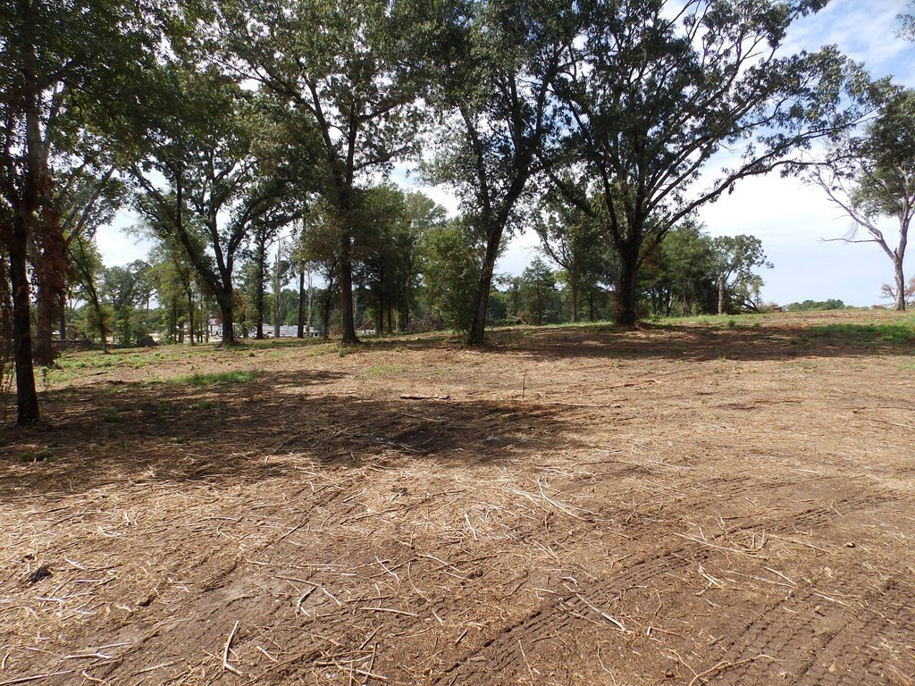 Picture 12