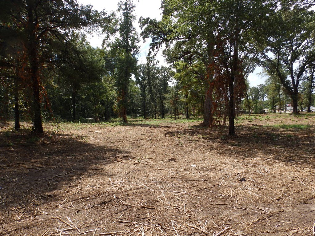 Picture 11