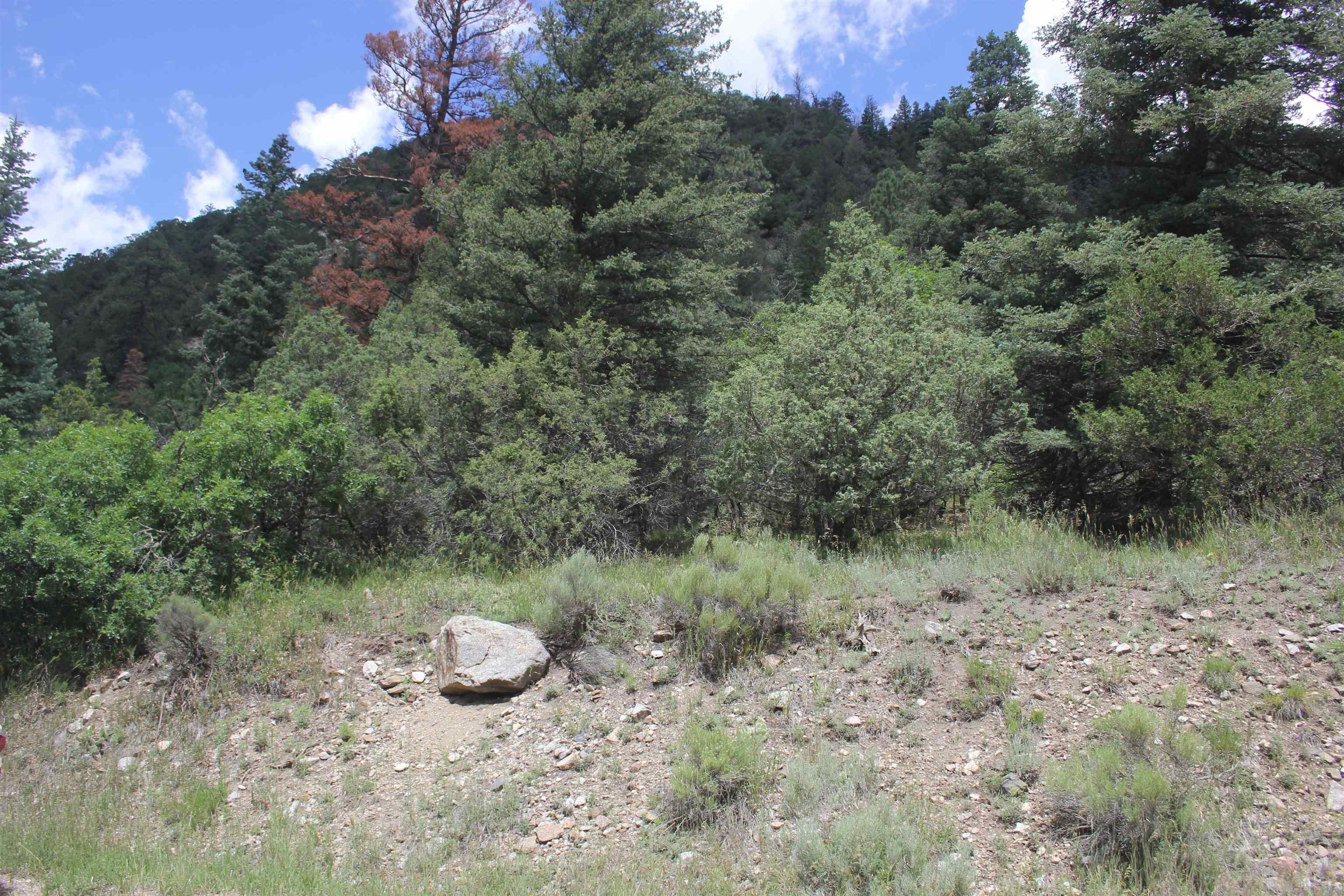 Questa, NM Land for Sale