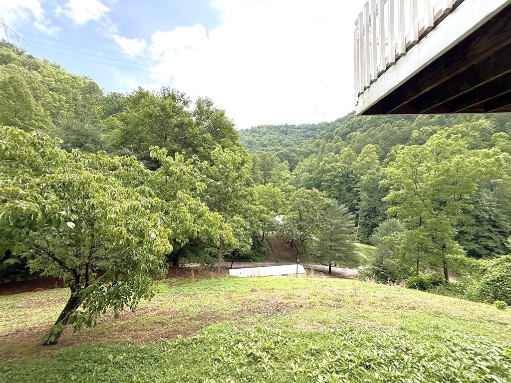 Picture 17