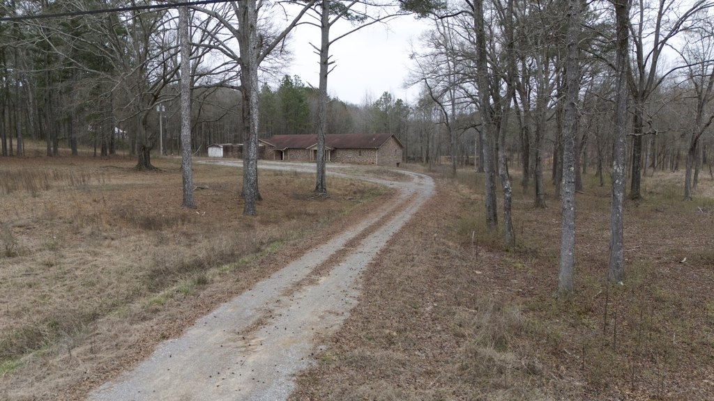 Picture 6