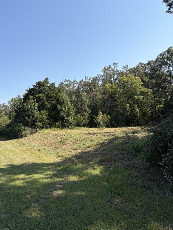 Picture 11