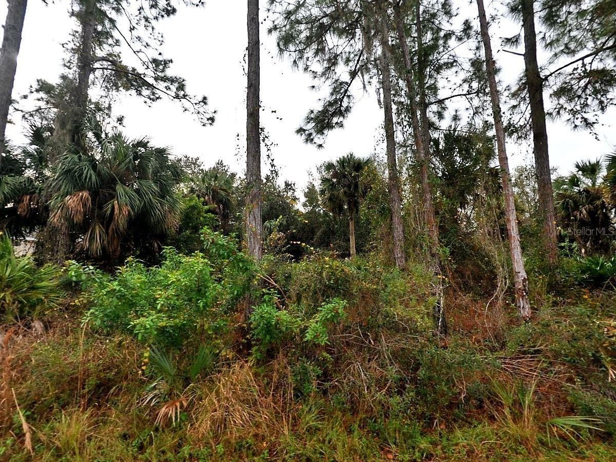 Residential Lot in North Port