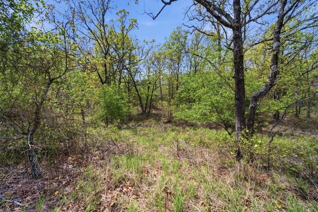 Picture 10