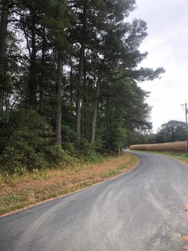 Wooded Land Near Seaside