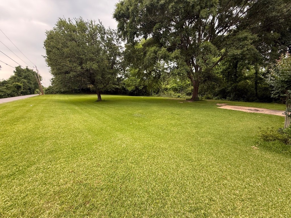Picture 3
