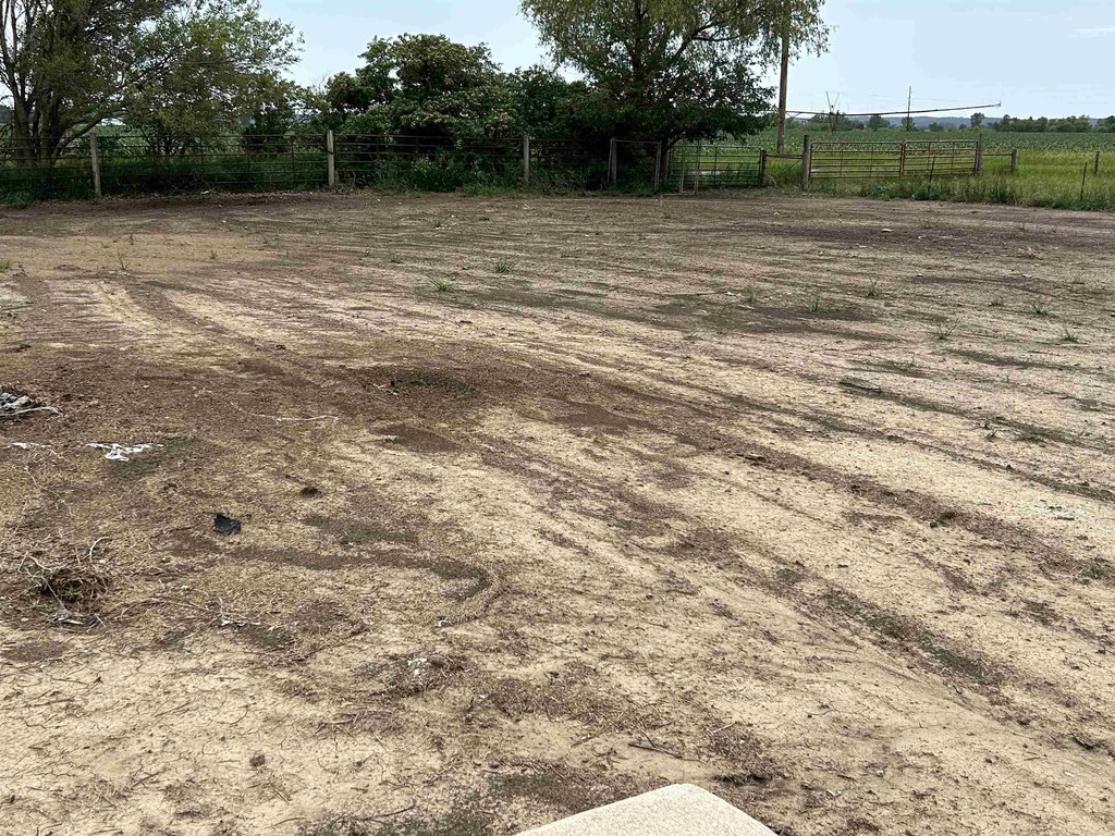 Picture 28