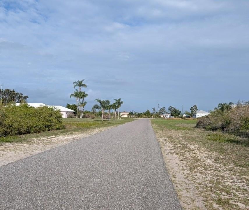 Picture 8
