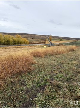 Land, Craigmont, ID