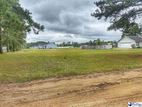 Land, Latta, SC
