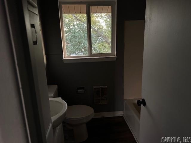 Picture 21
