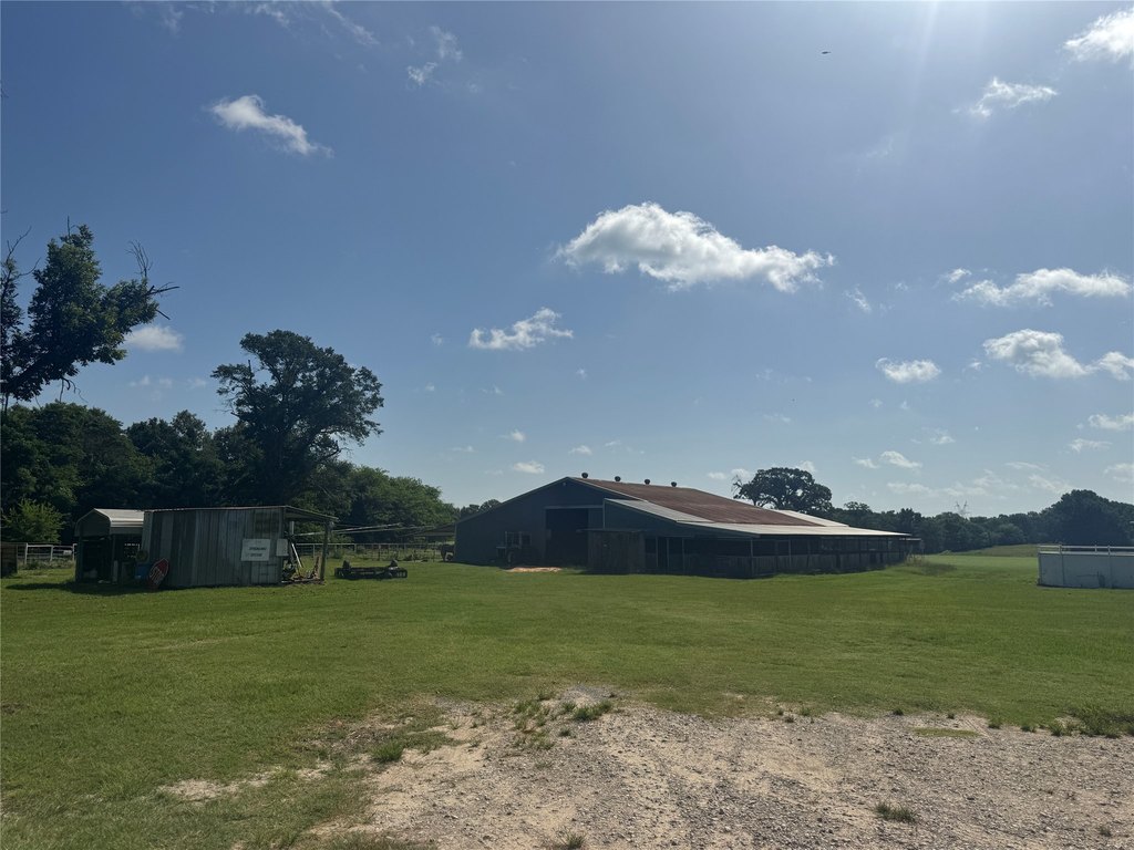 Picture 23