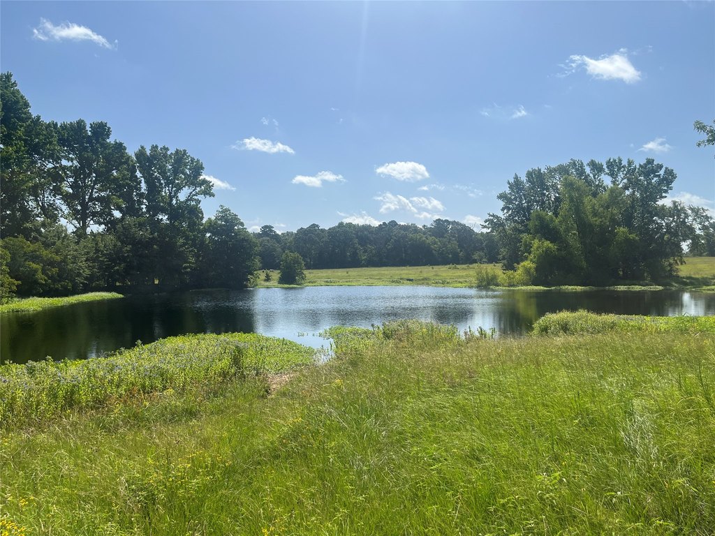 Picture 36