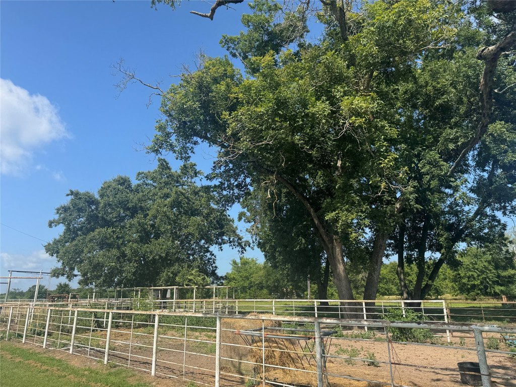 Picture 21