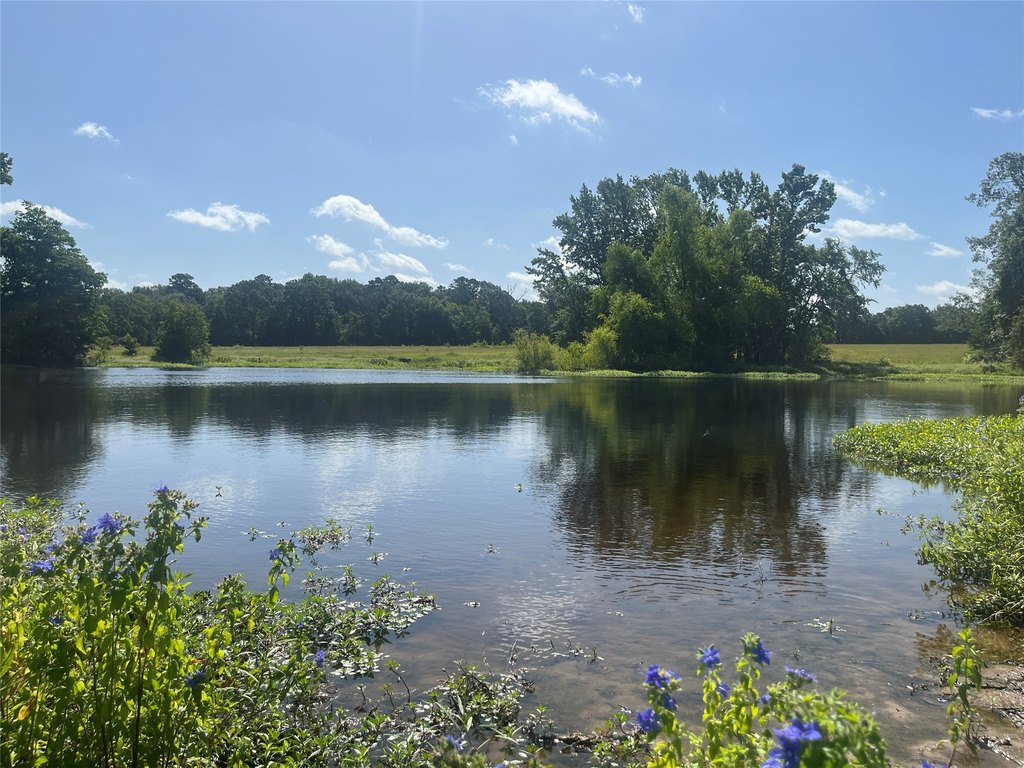Picture 38