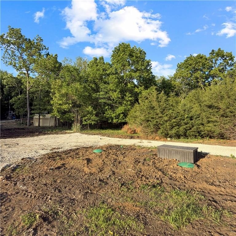 Picture 6
