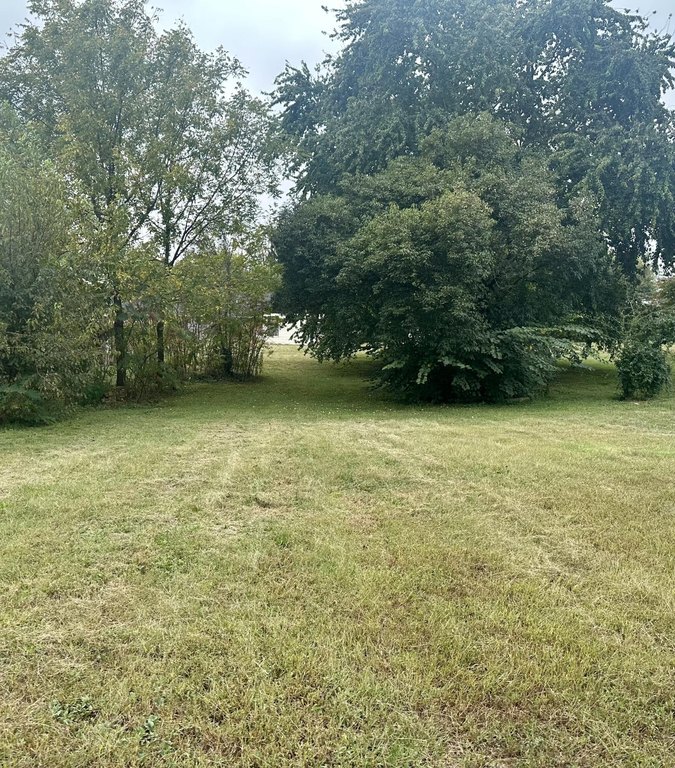 Picture 3