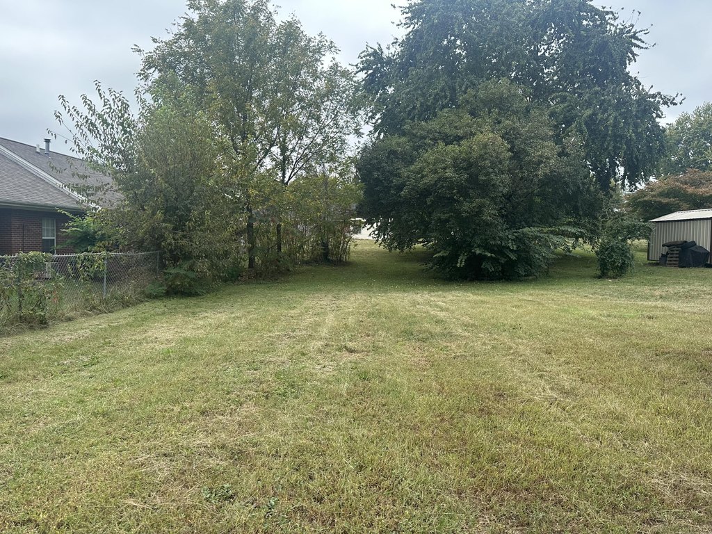 Picture 2