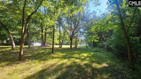 LAND - Chapin, SC