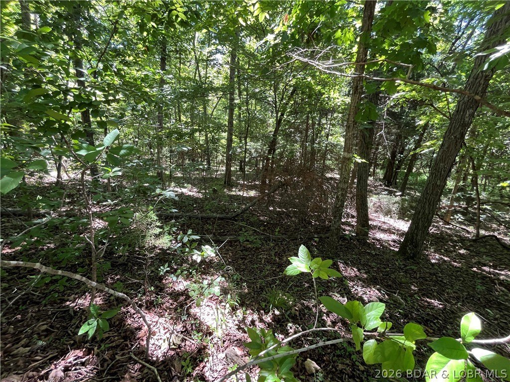 Picture 3