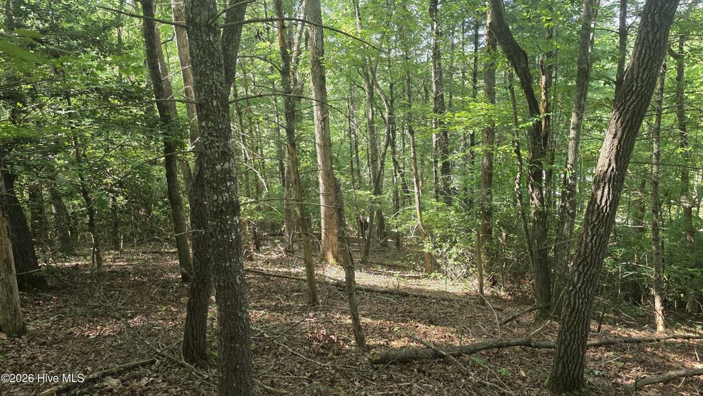 Picture 23