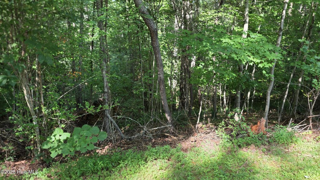 Picture 10