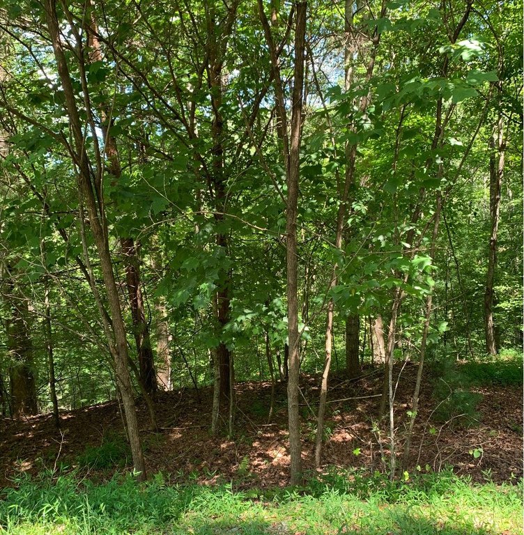 Picture 18