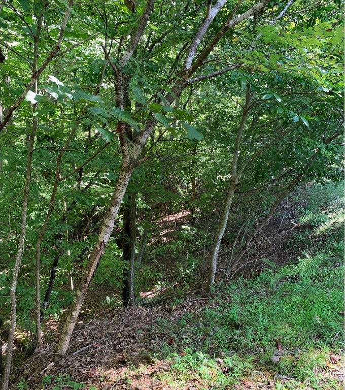 Picture 10