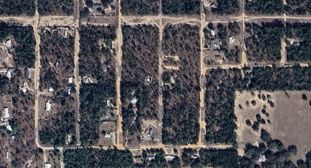 Picture 2