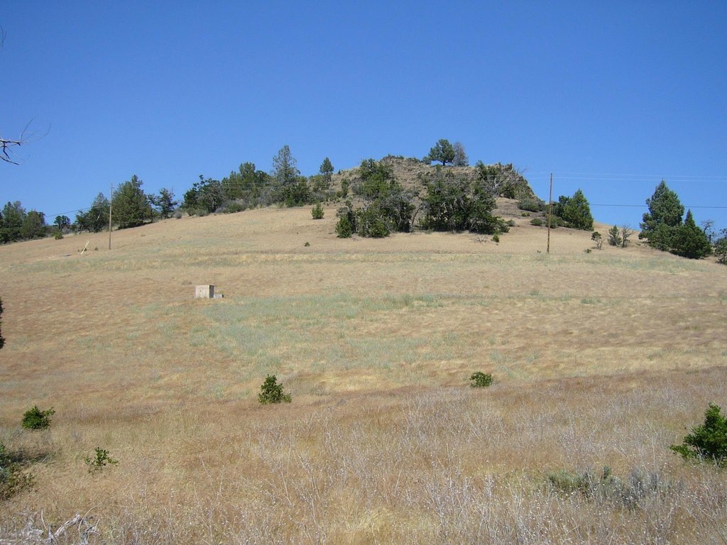 Picture 11