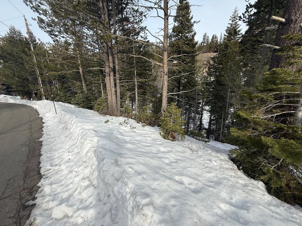 Picture 9