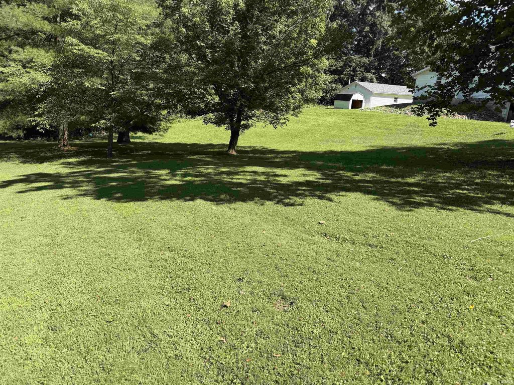 Picture 5
