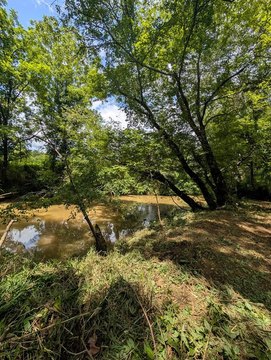 Unrestricted Creekfront Land For Sale