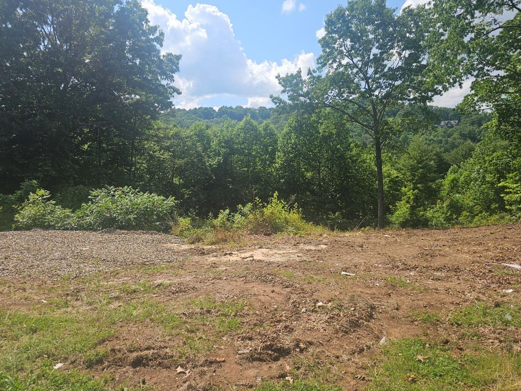 Picture 8