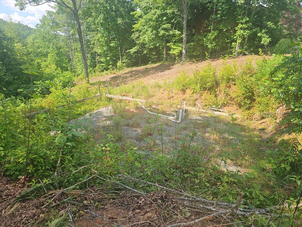 Picture 4