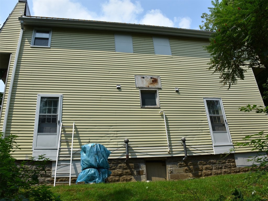 Picture 5