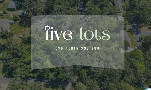 LAND/LOTS, HOOVER, AL