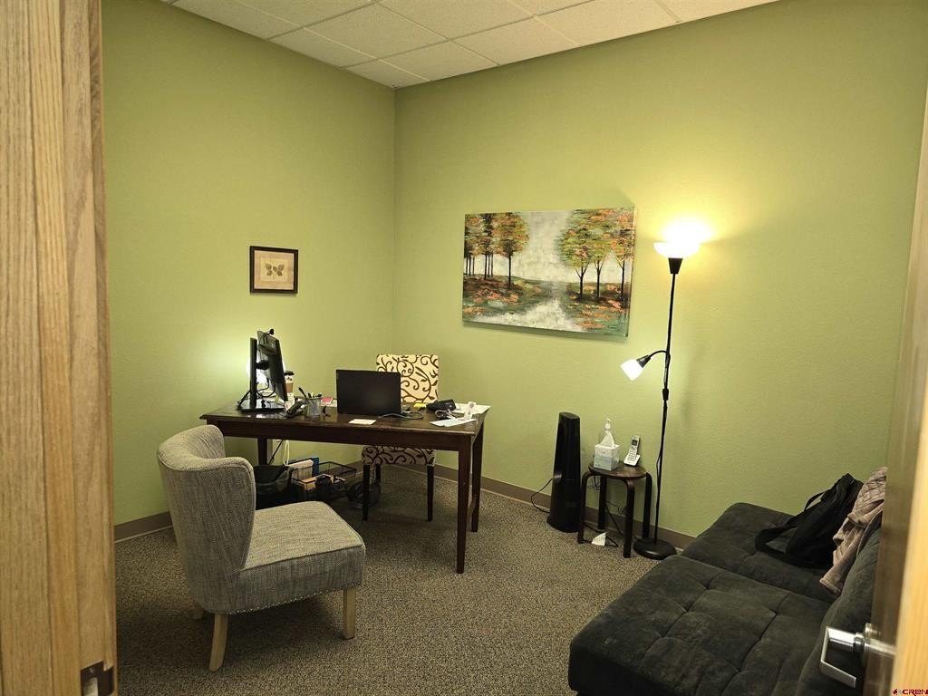Picture 5