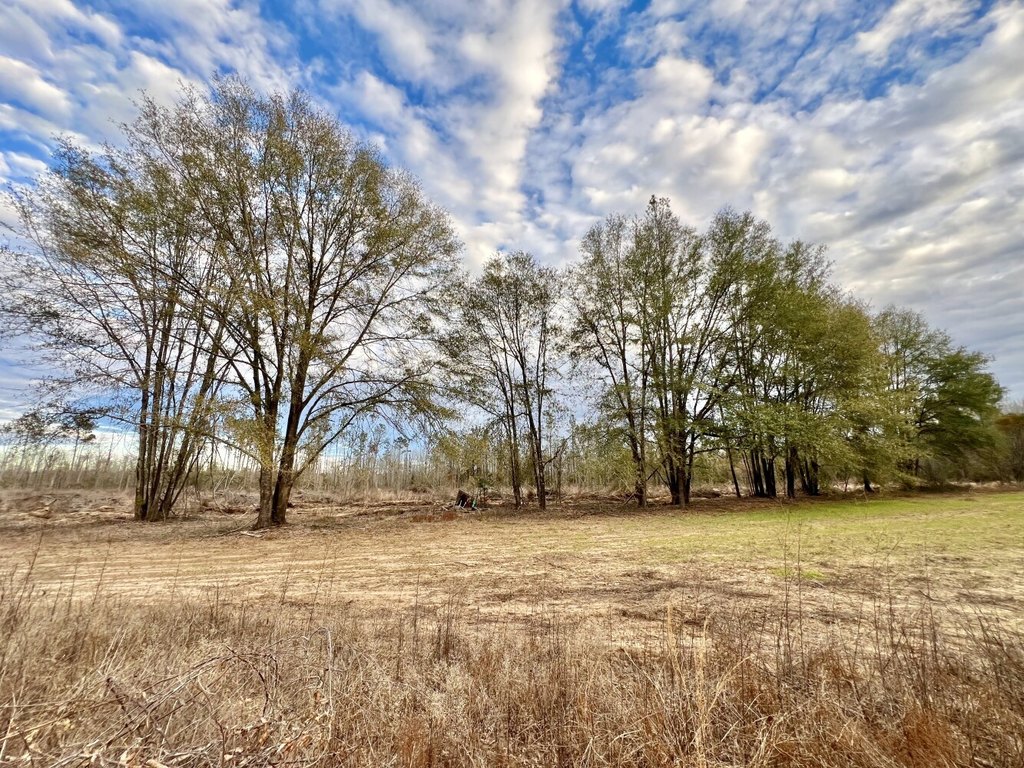 Picture 23