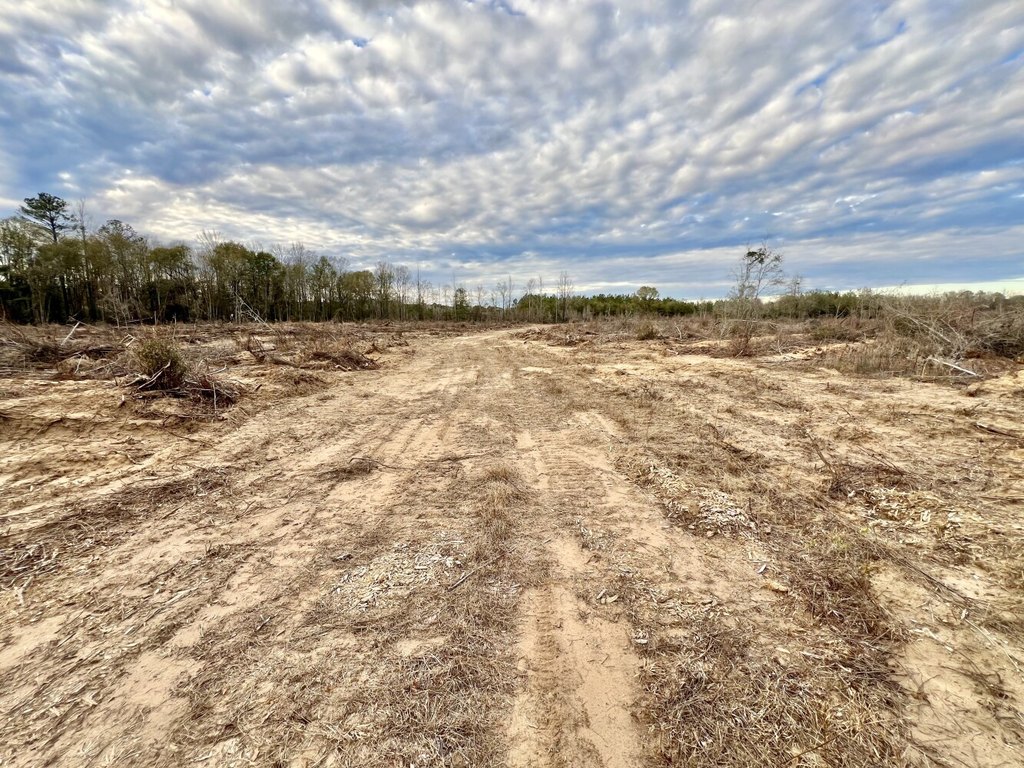 Picture 25