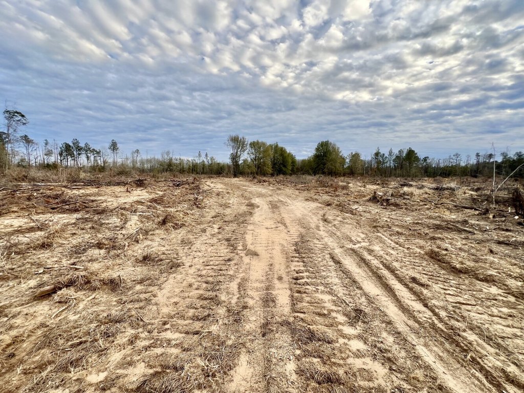 Picture 20