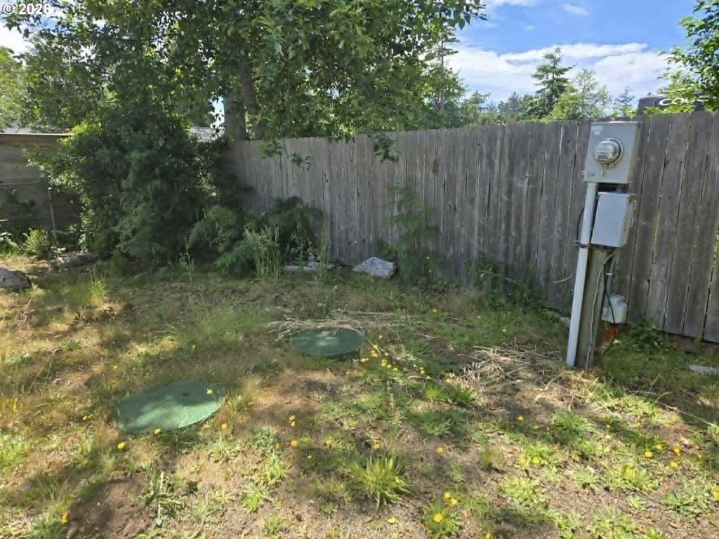 Picture 15