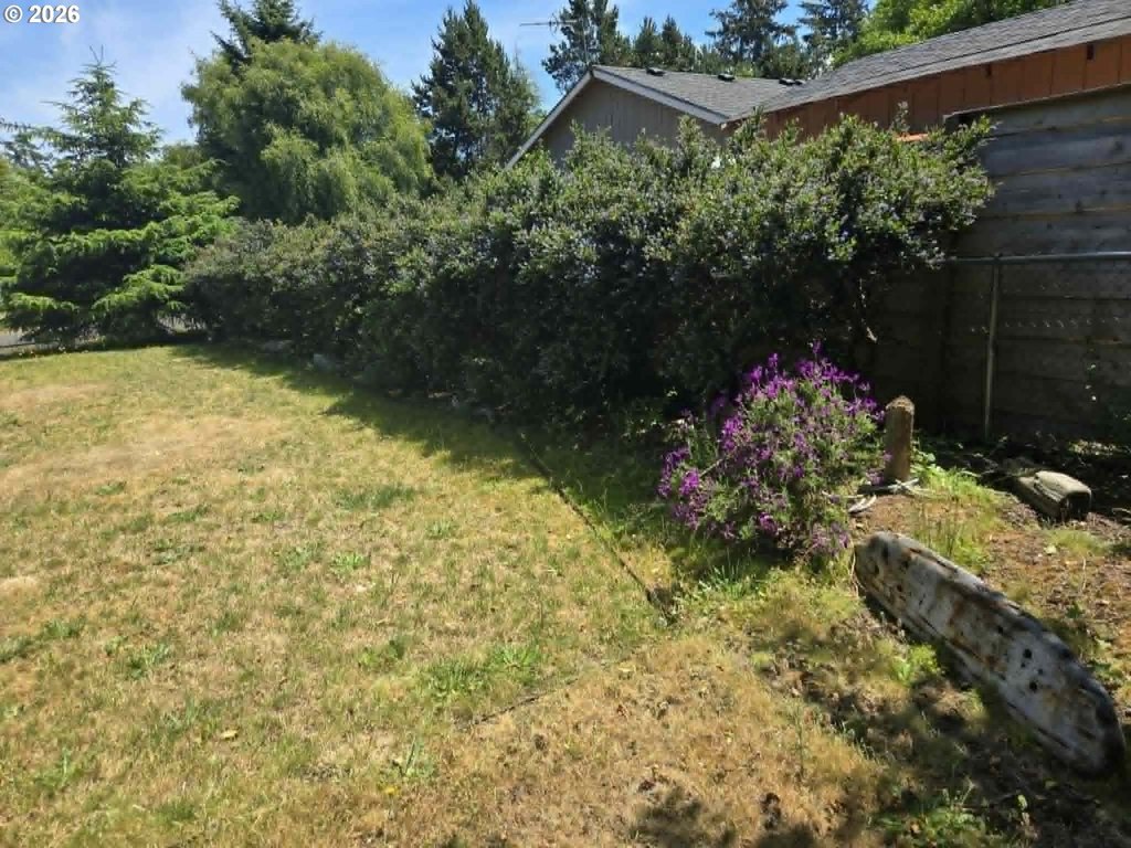 Picture 12