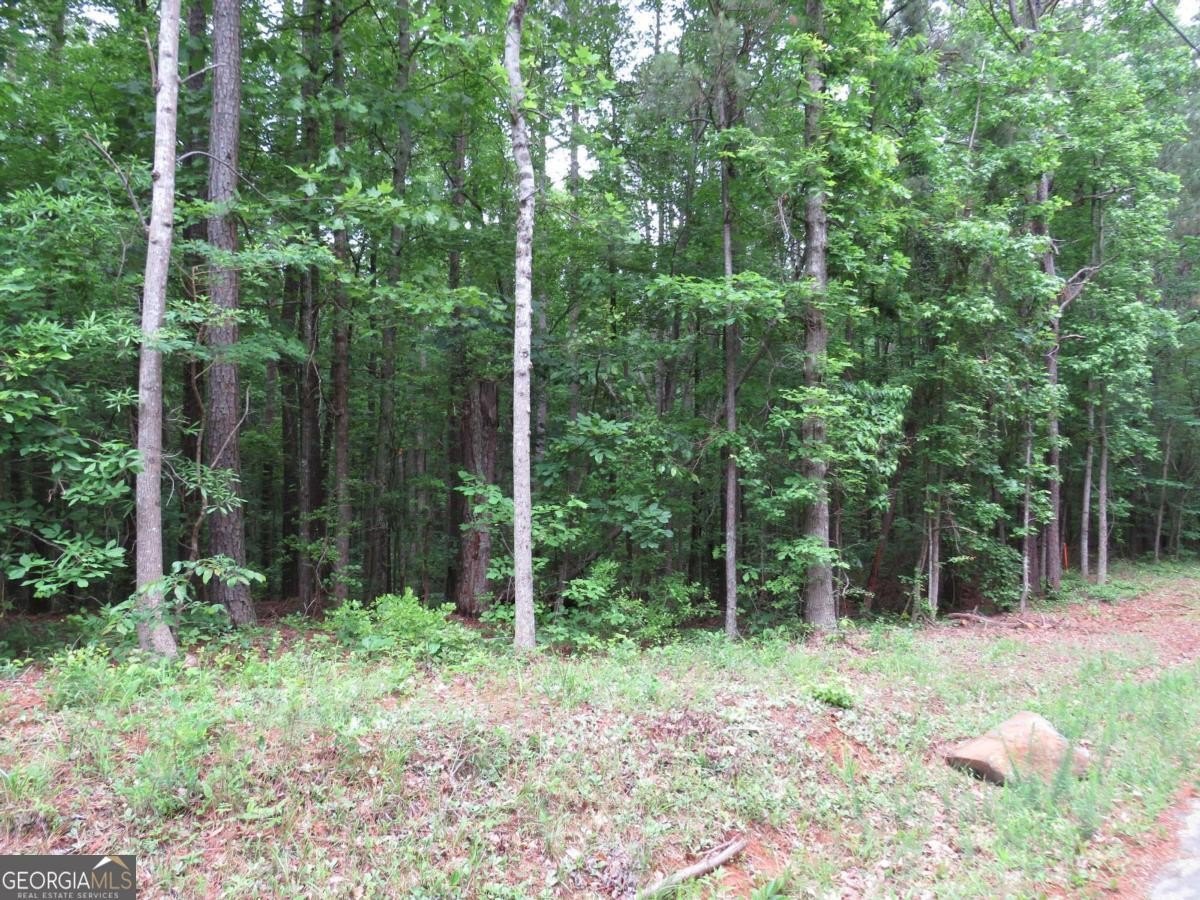 Residential Land in Dallas, GA