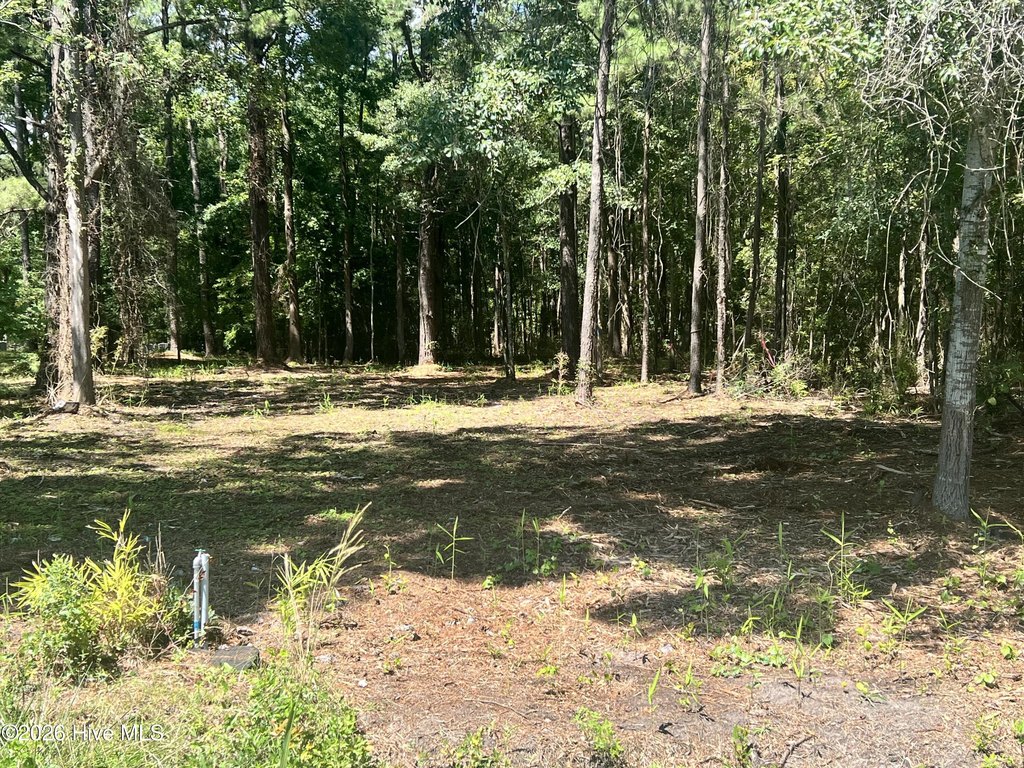 Picture 2