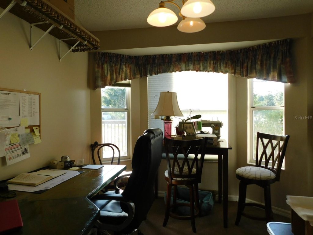 Picture 11