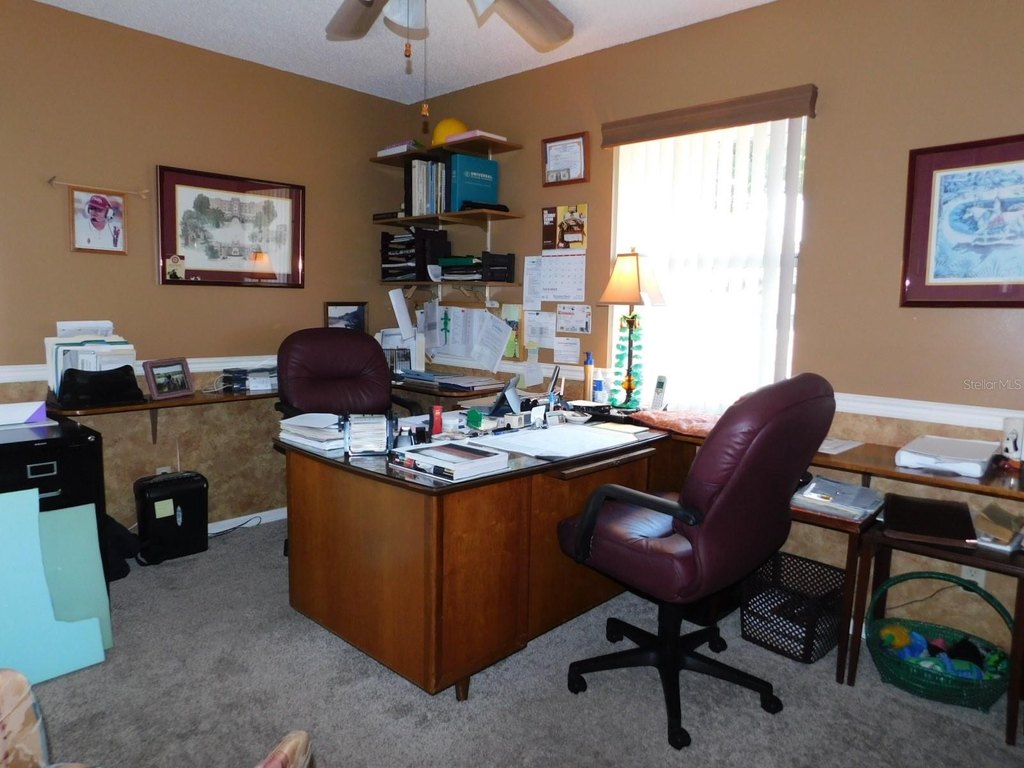 Picture 3