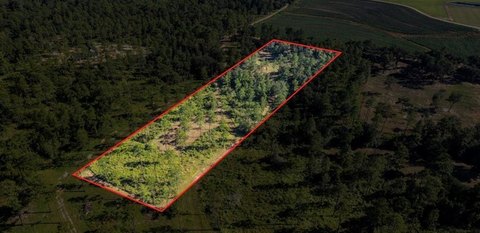 Land, Mobile, AL